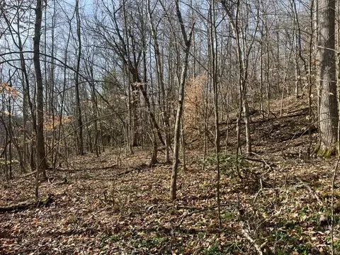 326 Earl Crisp Rd, Sandy Hook, KY 41171