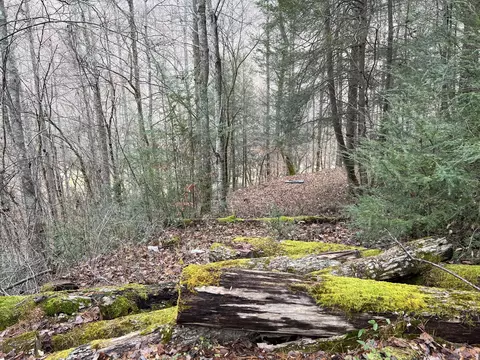 2774 Mosley Bend Rd, Hyden, KY 41749