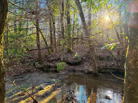 8888 Gibson Ln, Williamsburg, KY 40769