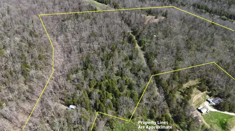 215 Big Twin Creek Rd, Worthville, KY 41098