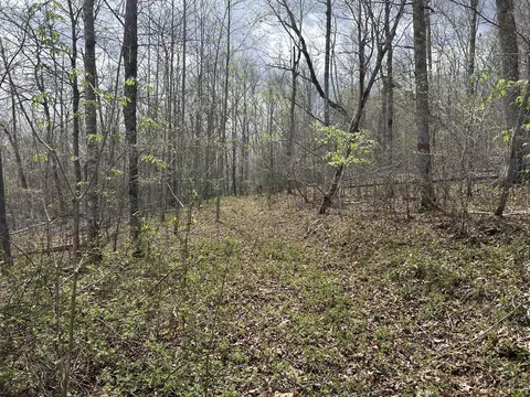 2000 Greenford Rd # B, Monticello, KY 42633