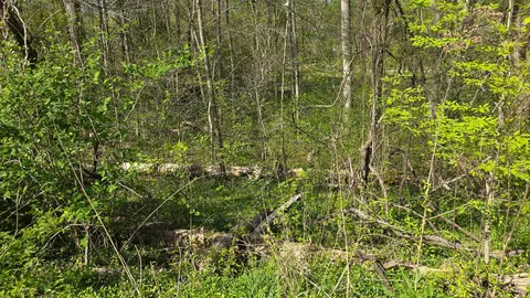 lot S 29 30 Suncrest Dr, Somerset, KY 42501