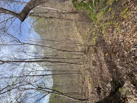 1 Callebs Creek Rd, Hinkle, KY 40953