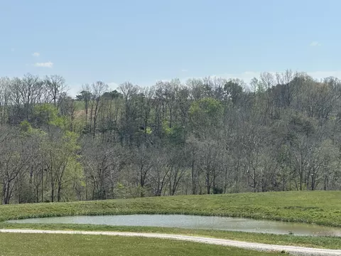 19 Coon Trl, East Bernstadt, KY 40729