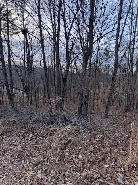3 31 King Mountain Rd, Williamsburg, KY 40769
