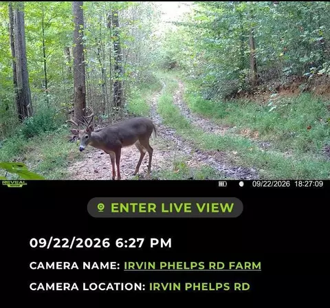 101 Irvin Phelps Rd, Somerset, KY 42501