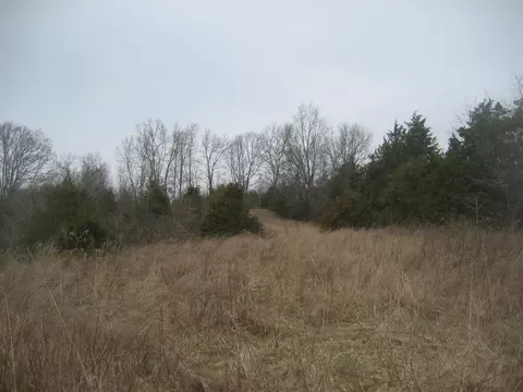 1235 Rutherford School Rd, Lawrenceburg, KY 40342