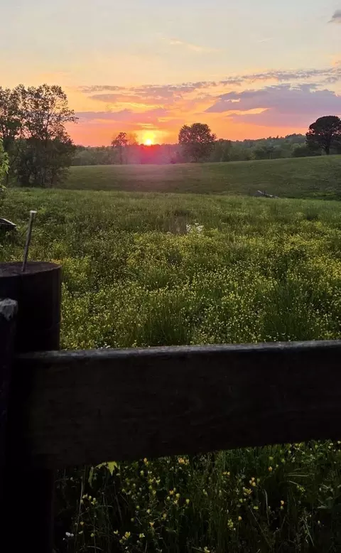 2800 W Ky-204, Williamsburg, KY 40769