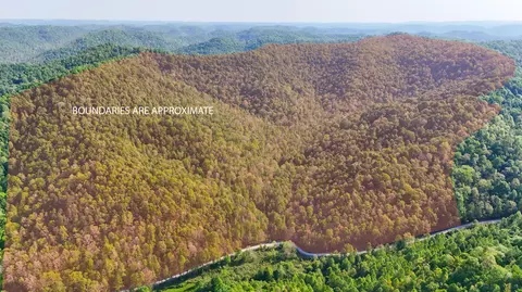 0 Hawn Branch Rd, Hinkle, KY 40953