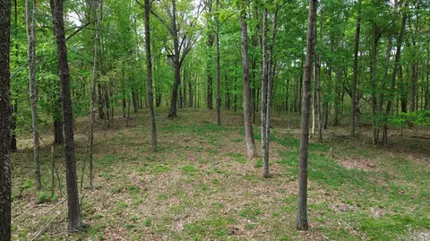 694 Tunnel Ridge Rd # A, Argillite, KY 41121