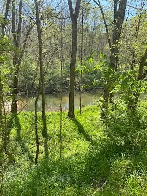 3110-3506 S Upper River S Upper River Rd, Livingston, KY 40445