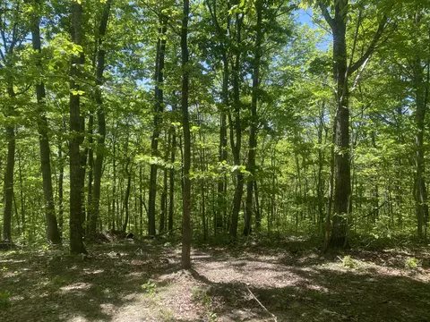 532 Rogers Ln, Mckee, KY 40447