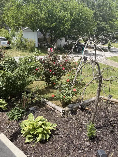 Exterior - 507 Swan St, Corbin, KY 40701 photo 6 of 17