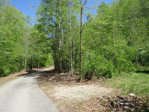 0 Trace Branch Rd, Flat Lick, KY 40935 photo 3