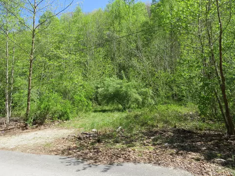 0 Trace Branch Rd, Flat Lick, KY 40935