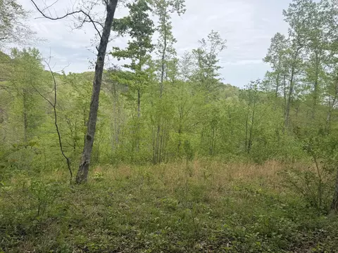 999 Big Cave Rd, Orlando, KY 40460