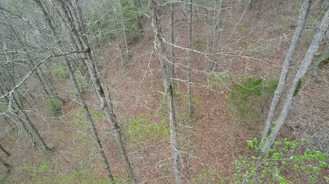 Other - 321 Mill Creek Rd, Jackson, KY 41339 photo 8 of 9