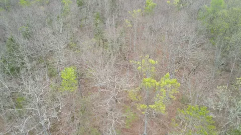 View/Area - 321 Mill Creek Rd, Jackson, KY 41339 photo 3 of 3