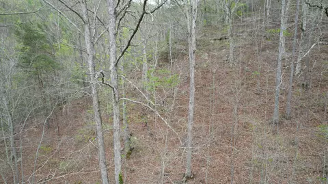 Other - 321 Mill Creek Rd, Jackson, KY 41339 photo 9 of 9