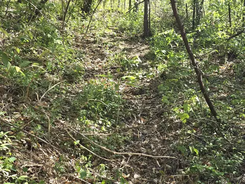 Other - 321 Mill Creek Rd, Jackson, KY 41339 photo 4 of 9