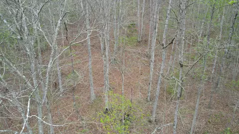 Other - 321 Mill Creek Rd, Jackson, KY 41339 photo 7 of 9