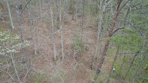 View/Area - 321 Mill Creek Rd, Jackson, KY 41339 photo 1 of 3