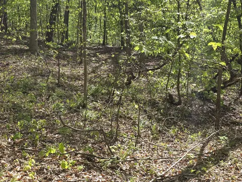 Other - 321 Mill Creek Rd, Jackson, KY 41339 photo 5 of 9