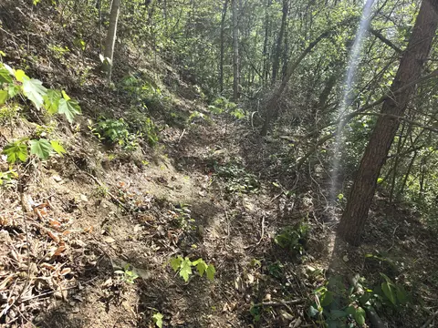 Other - 321 Mill Creek Rd, Jackson, KY 41339 photo 3 of 9