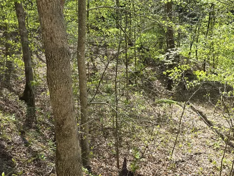 Other - 321 Mill Creek Rd, Jackson, KY 41339 photo 6 of 9