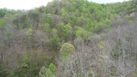 Other - 321 Mill Creek Rd, Jackson, KY 41339 photo 2 of 9