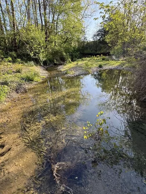 1234 Jonathan Fork Rd, Liberty, KY 42539