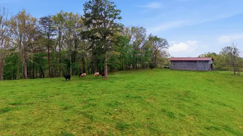 Exterior - 595 Ky-2002, Mckee, KY 40447 photo 11 of 11