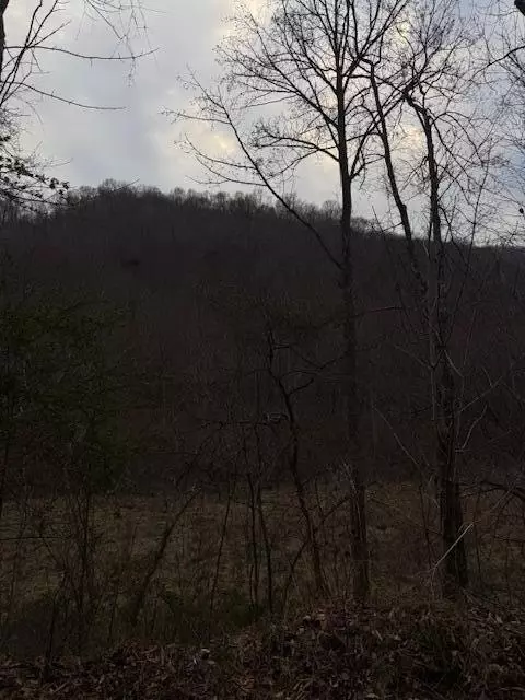 9999 Paint Gap Rd, Flat Lick, KY 40935