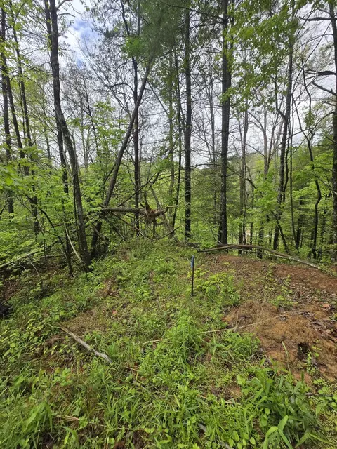 lot52 Soul Canyon Hideaways Development, Zoe, KY 41397