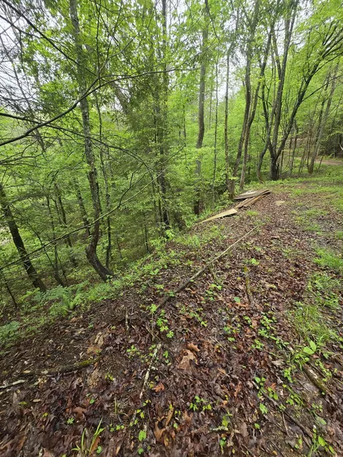 lot53 Soul Canyon Hideaway, Zoe, KY 41397