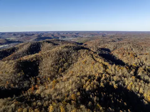 3300 Forestry Ridge Rd, Morehead, KY 40351 photo 4