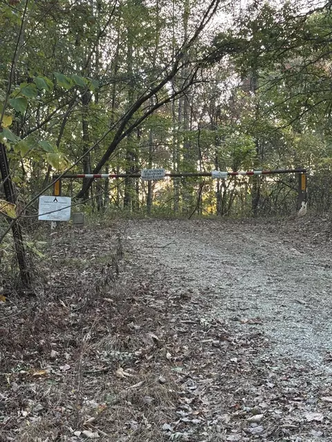 3300 Forestry Ridge Rd, Morehead, KY 40351 photo 8