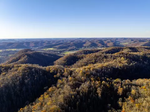 3300 Forestry Ridge Rd, Morehead, KY 40351