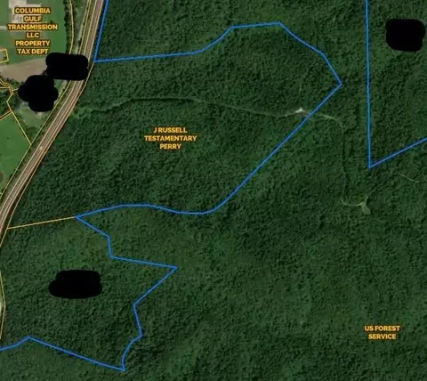 3300 Forestry Ridge Rd, Morehead, KY 40351 photo 11