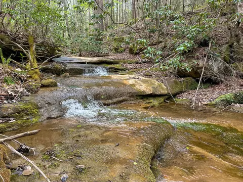 0 Dryfork Rd, Helton, KY 40840