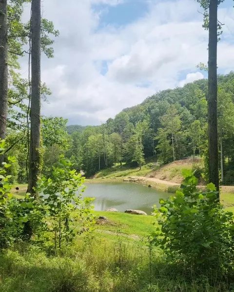 170 Birch Hollow Rd, Stanton, KY 40380