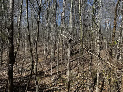 11356 E Kentucky 10, Garrison, KY 41141 photo 12