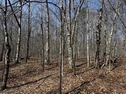 11356 E Kentucky 10, Garrison, KY 41141 photo 10