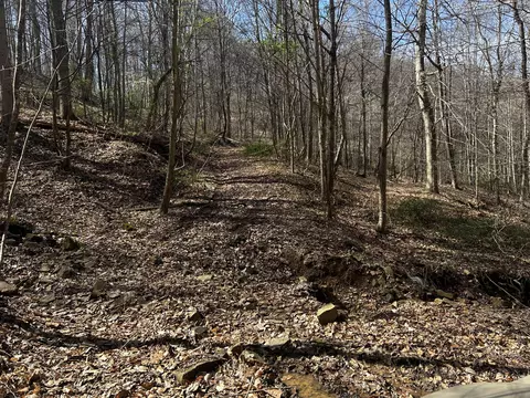 11356 E Kentucky 10, Garrison, KY 41141 photo 11