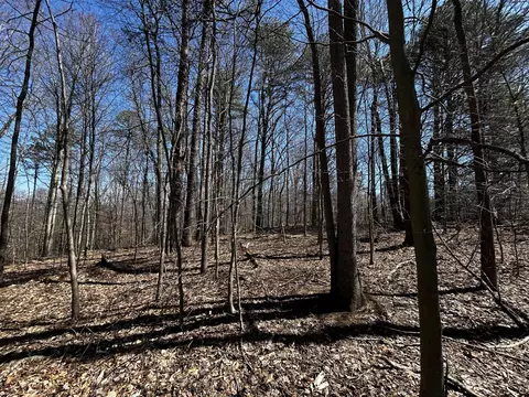 11356 E Kentucky 10, Garrison, KY 41141 photo 16