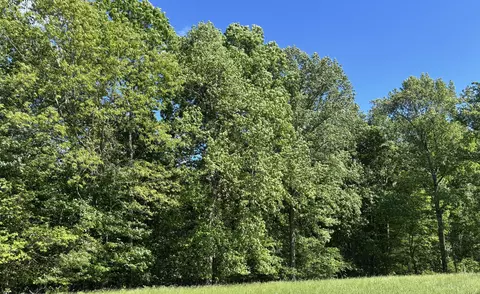 88 Bryant Ln, Brodhead, KY 40409 photo 4