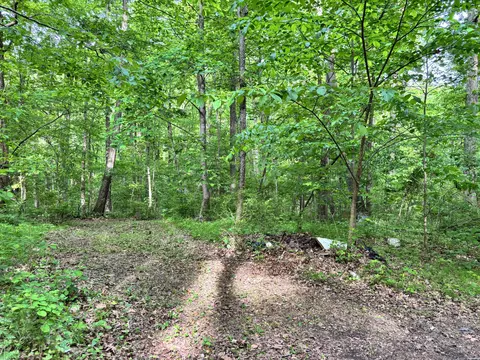 88 Bryant Ln, Brodhead, KY 40409 photo 6