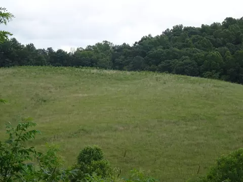 521 Artville Rd, Wellington, KY 40387