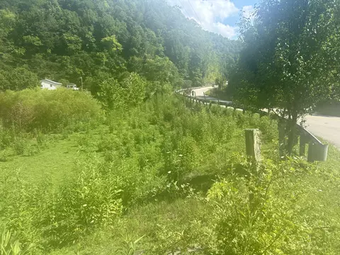 9999 N Hwy 66 Oneida Ky, Oneida, KY 40972