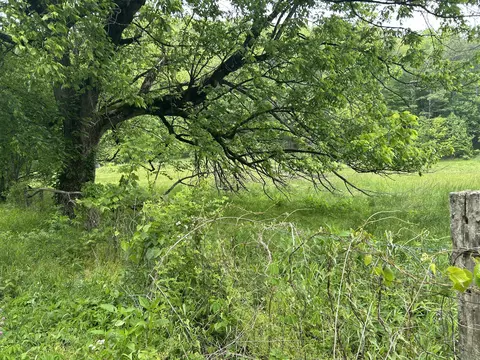 00 Jacks Creek Rd, Oneida, KY 40972 photo 3